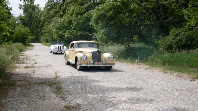 Veranstaltungen 2009