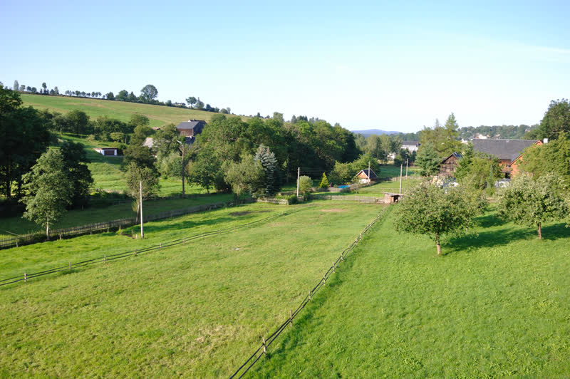 Veranstaltungen 2011