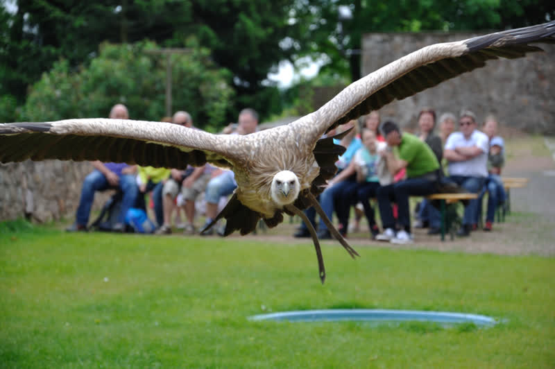 Veranstaltungen 2012