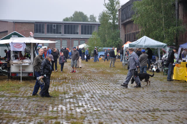 Veranstaltungen 2014