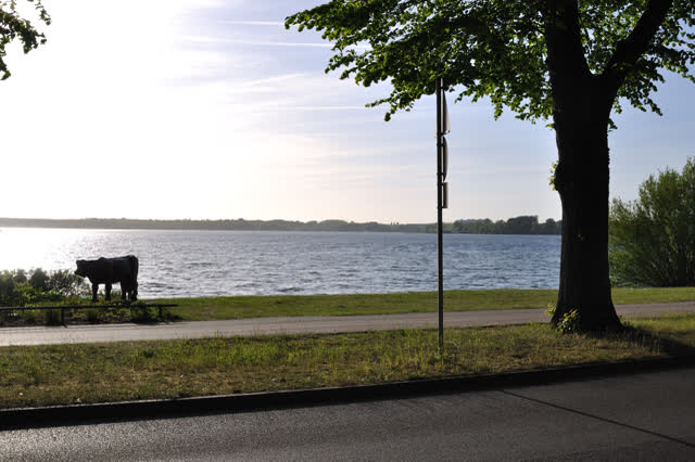 Veranstaltungen 2015